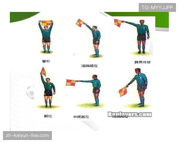 比赛中断后坠球规则详解：何时判给争球为何不直接掷界外球